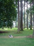 dscf2187