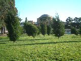 dscf2341