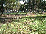 dscf2346