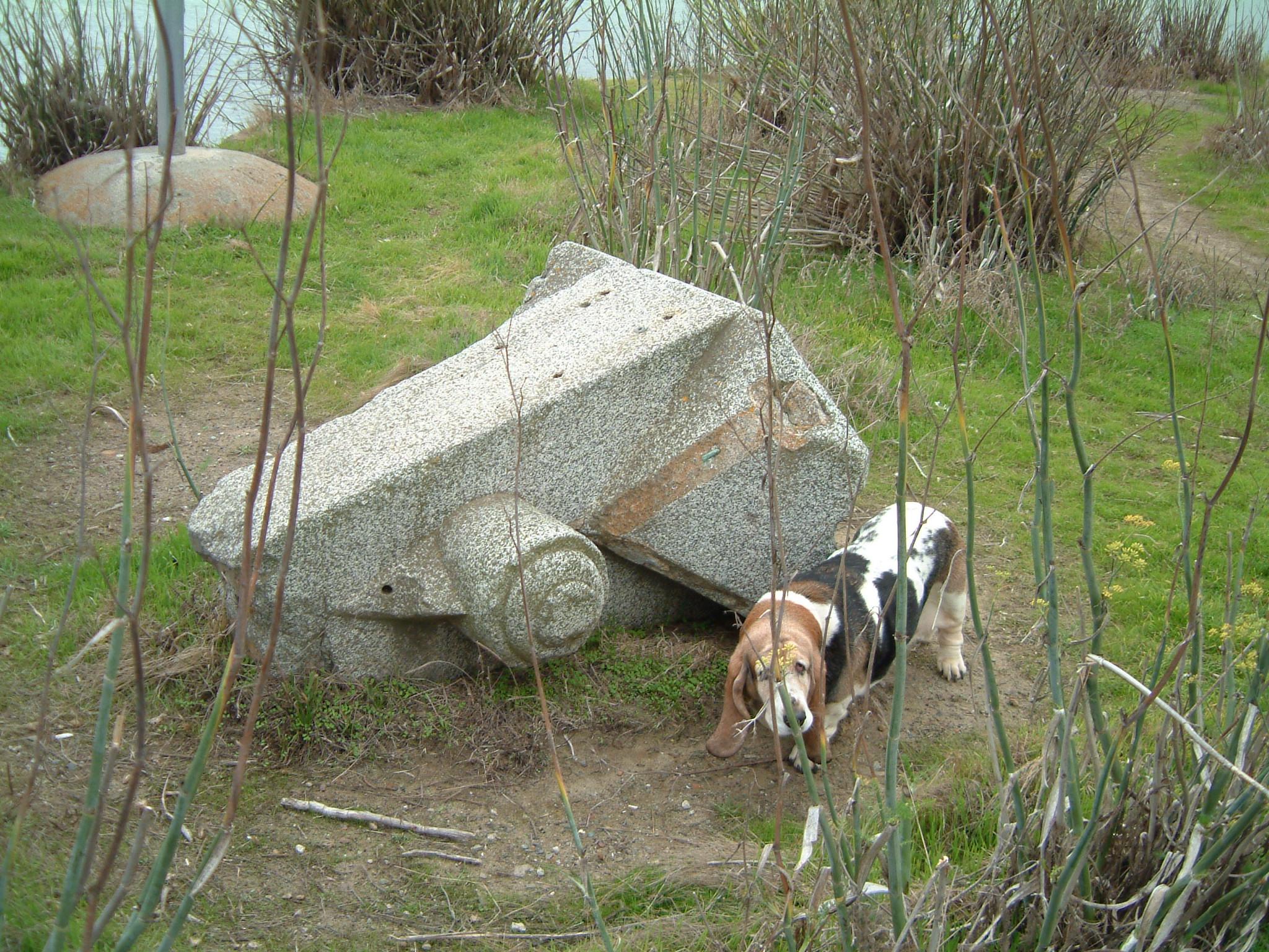 dscf2377