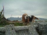 dscf2357