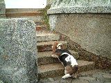 dscf2359