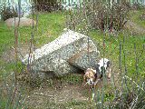 dscf2377