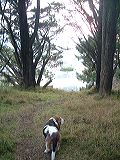 dscf2390