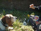 dscf2824
