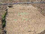 dscf2841