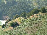 dscf2842
