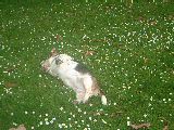 dscf2917