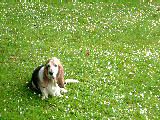 dscf2926