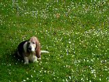 dscf2928