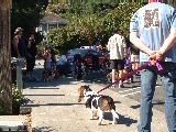 dscf2971