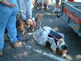 dscf2988