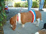 dscf3011