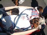 dscf3024