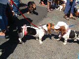 dscf3026