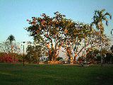 dscf3099