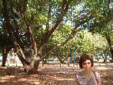 dscf3232