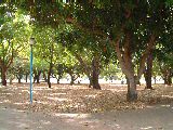 dscf3233