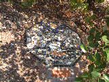 dscf3266