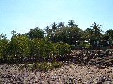 dscf3296