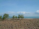 dscf3297