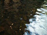 dscf3367