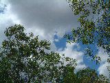 dscf3421