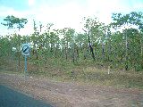 dscf3454