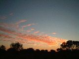 dscf3631