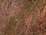dscf3673