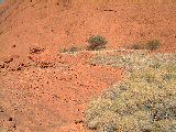 dscf3765