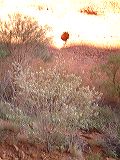 dscf3784