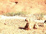dscf3802