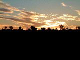 dscf3848