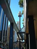 dscf3884