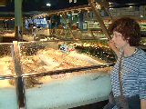 dscf3896