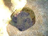 dscf3923