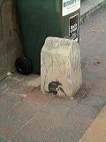 dscf3945