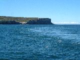 dscf4075
