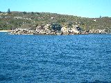 dscf4079
