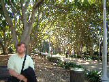 dscf4142