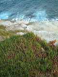 dscf4226