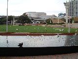 dscf4301