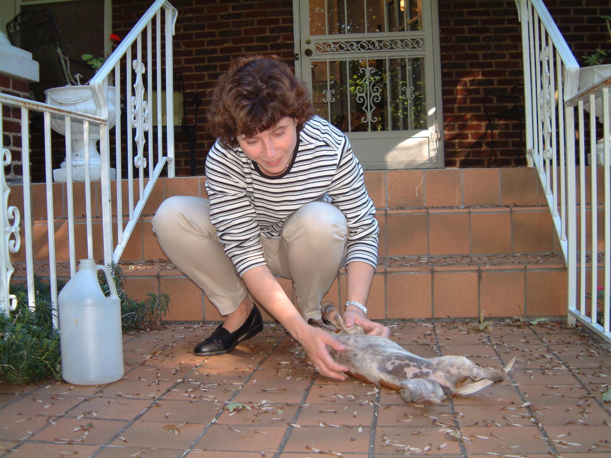 dscf4466.jpg