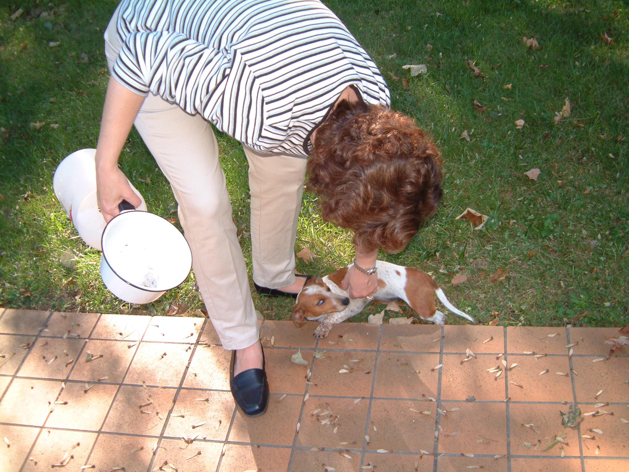 dscf4468.jpg