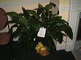 dscf4418