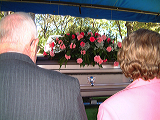 dscf4446