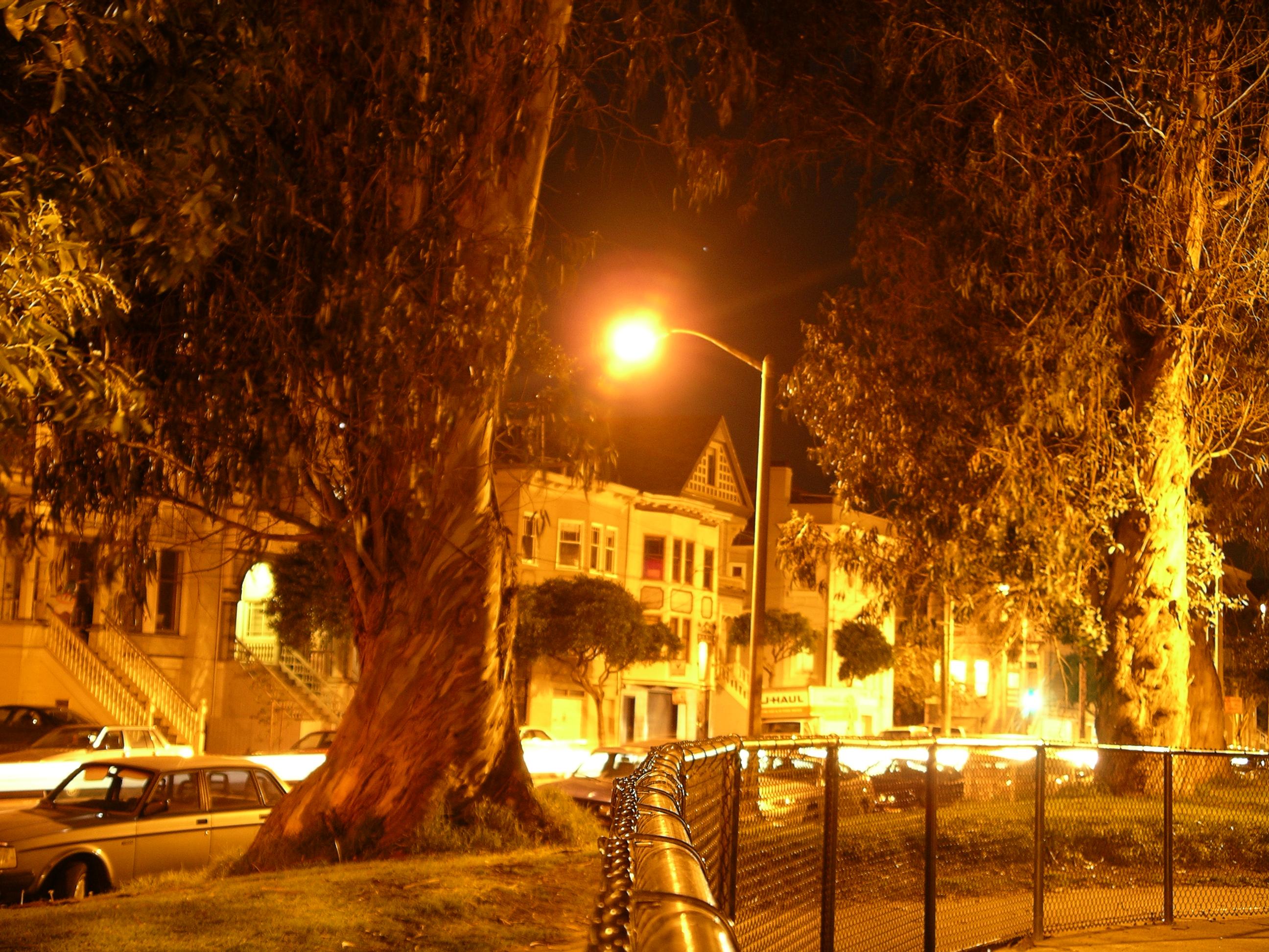 imgp0116.jpg
