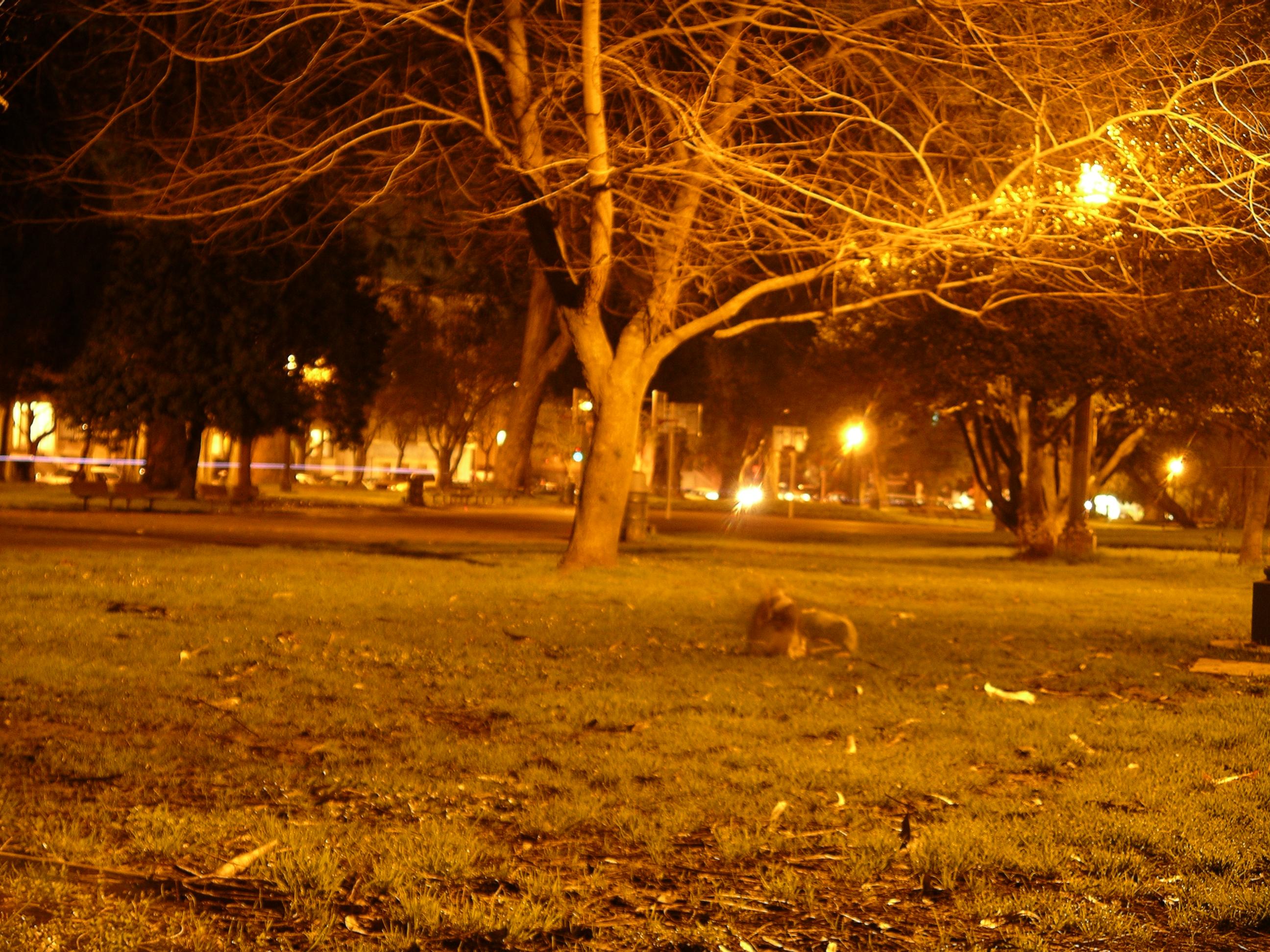 imgp0117.jpg