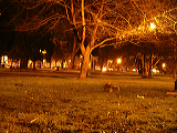 imgp0117